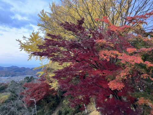 栃木県栃木市大平山の謙信平から見た鮮やかな紅葉と山々の絶景